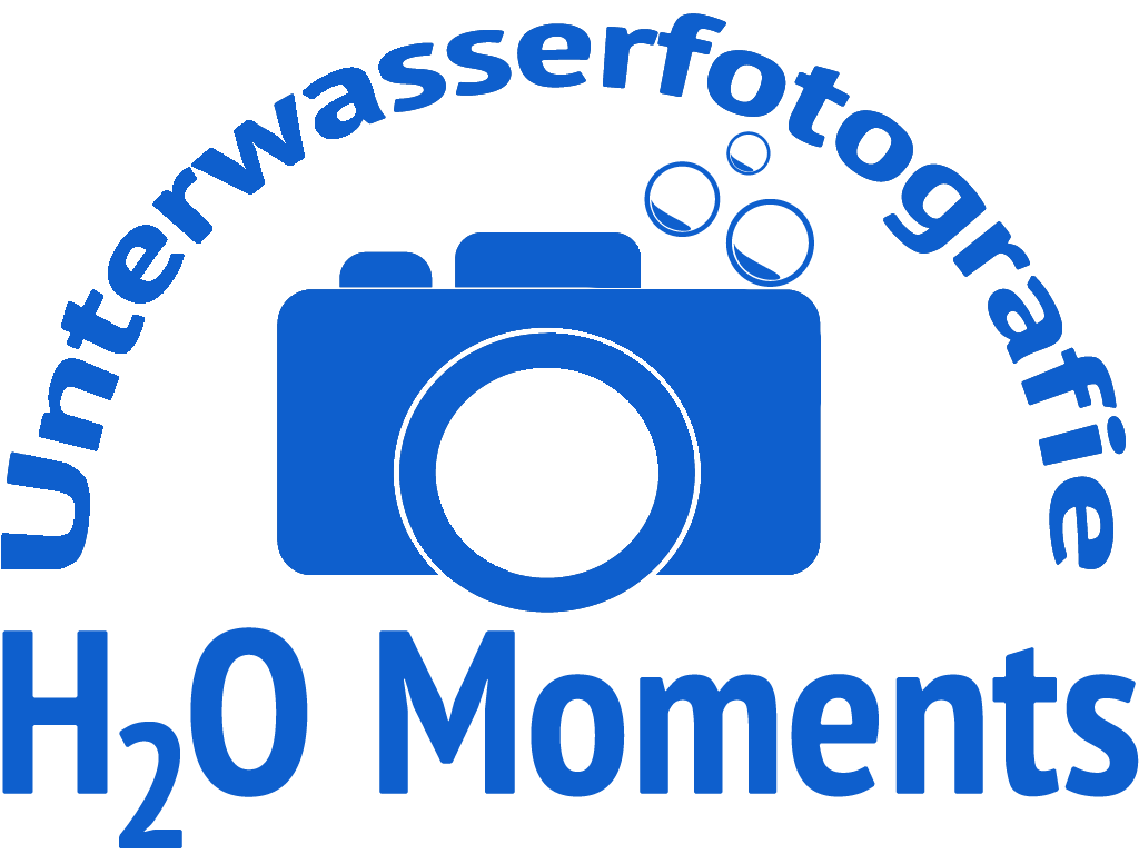 Logo H2O-Moments